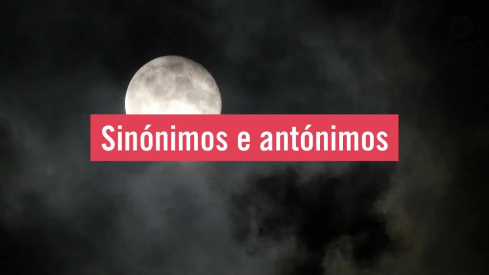 Sin nimos E Ant nimos Escola Virtual