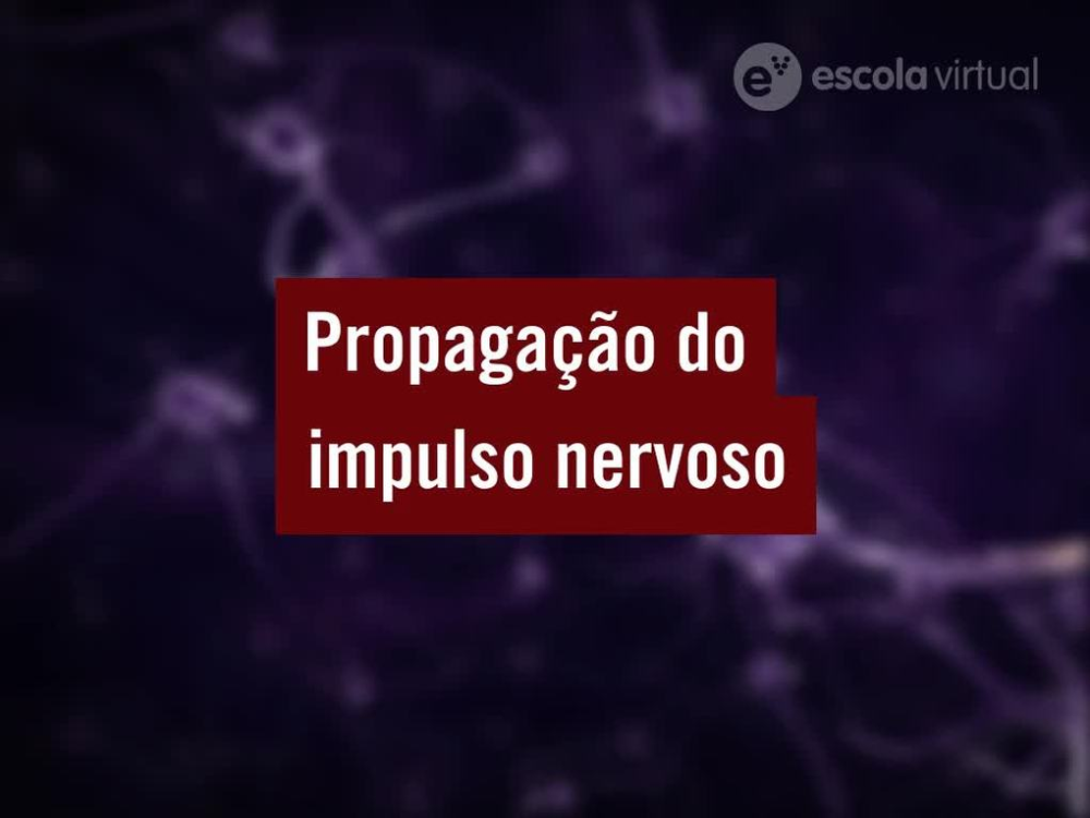 Propagação do impulso nervoso
