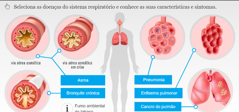 Doenças do sistema respiratório - Escola Virtual