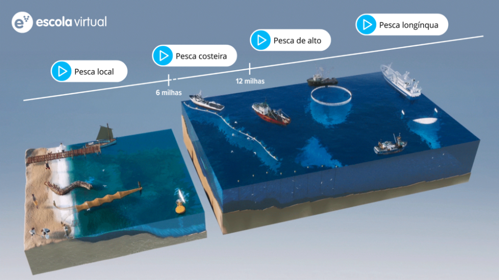 Tipos e artes de pesca